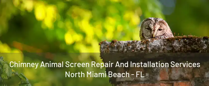 Chimney Animal Screen Repair And Installation Services North Miami Beach - FL