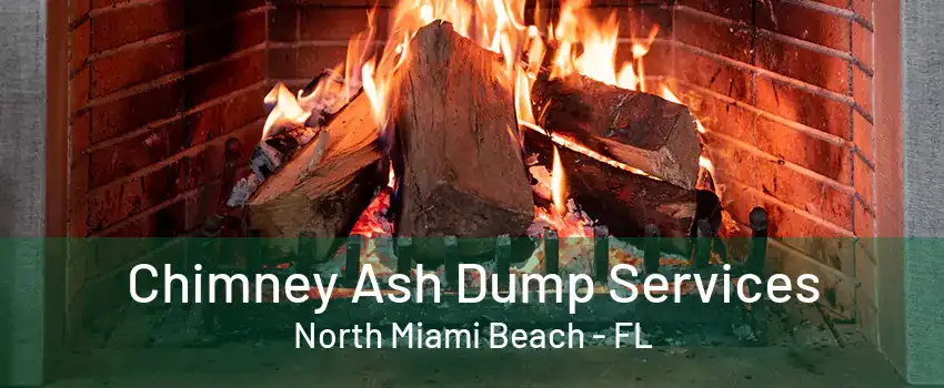 Chimney Ash Dump Services North Miami Beach - FL