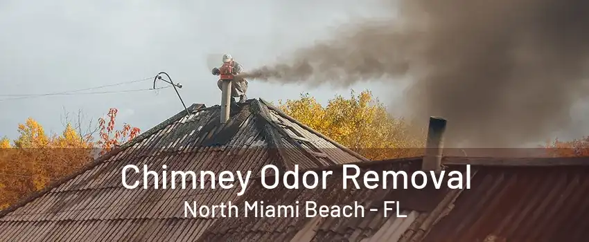 Chimney Odor Removal North Miami Beach - FL