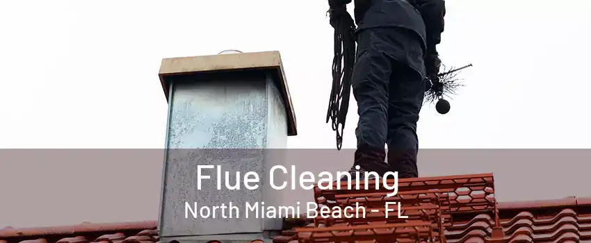 Flue Cleaning North Miami Beach - FL