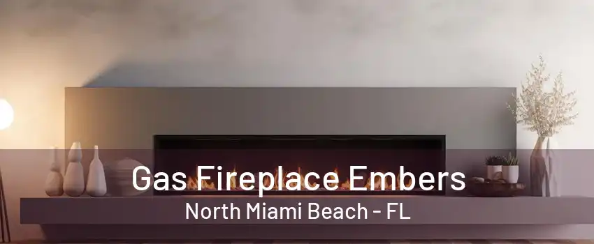 Gas Fireplace Embers North Miami Beach - FL