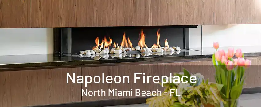 Napoleon Fireplace North Miami Beach - FL